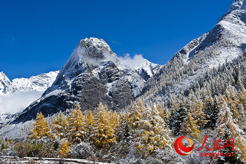 四姑娘山雪景